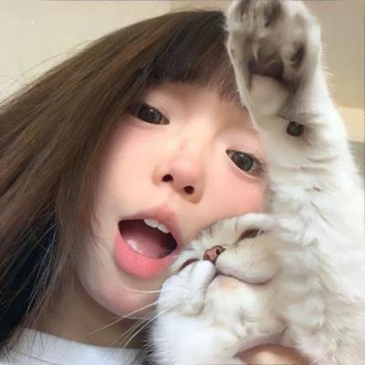 宫廷